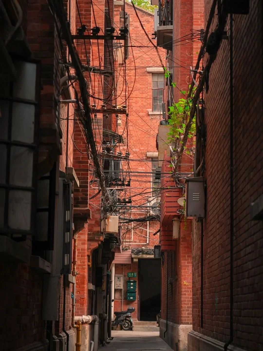 Guard the Spirit of Shanghai's Golden Age, Pen the Next Chapter of Timeless Verse 2